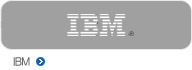 �ѱ� IBM 